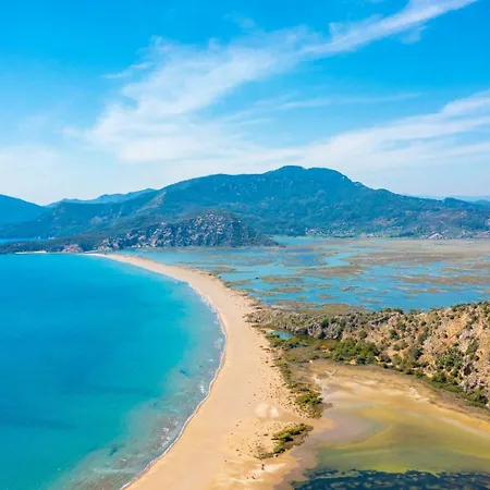 Maya オルタジャ